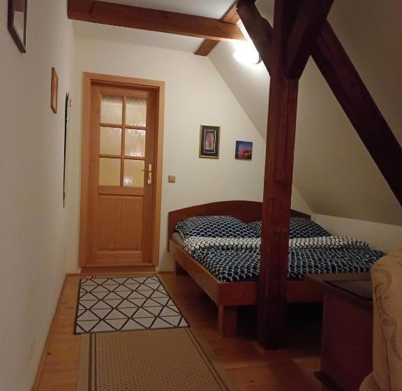 Номер Стандарт Вид на Город, Guest House Olšakovský