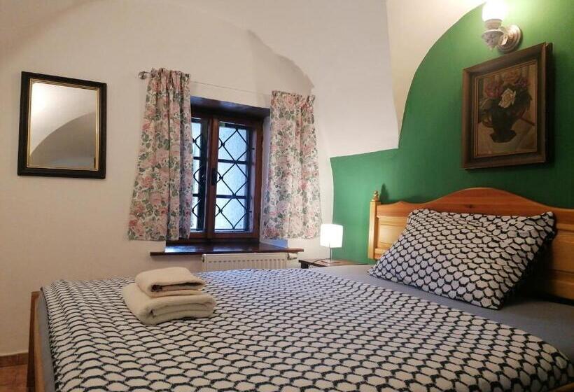 Одноместный Номер Basic, Guest House Olšakovský