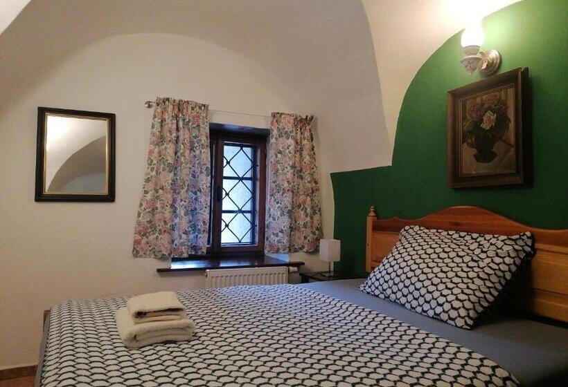 Basic Rum Enkel, Guest House Olšakovský