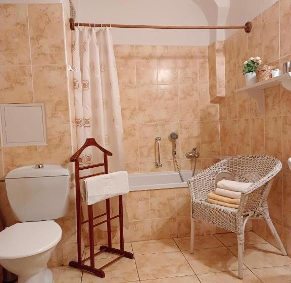 Standardrum, Guest House Olšakovský