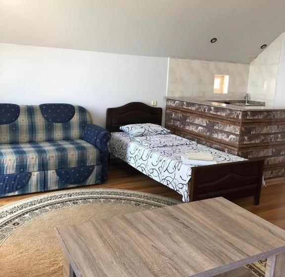 اتاق خانوادگی, Sanni Guest House