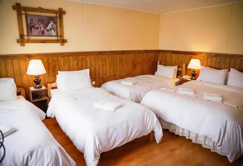 اتاق خانوادگی, Hostal Hielo Sur