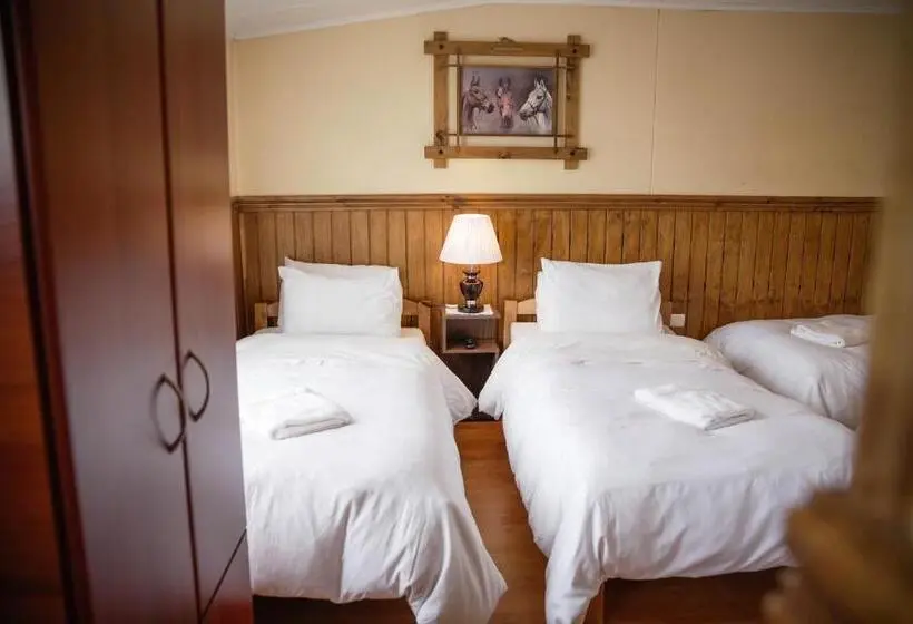 اتاق خانوادگی, Hostal Hielo Sur