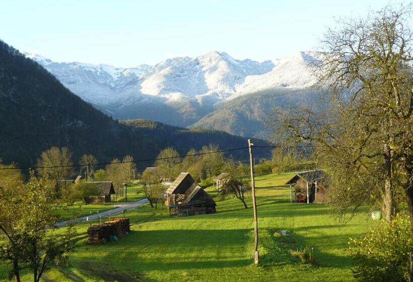 اتاق استاندارد, Apartments & Rooms Stare