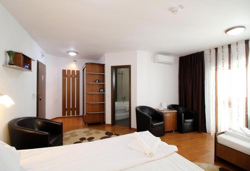 Pokój Trzyosobowy Standard z Balkonem, Casa Micu