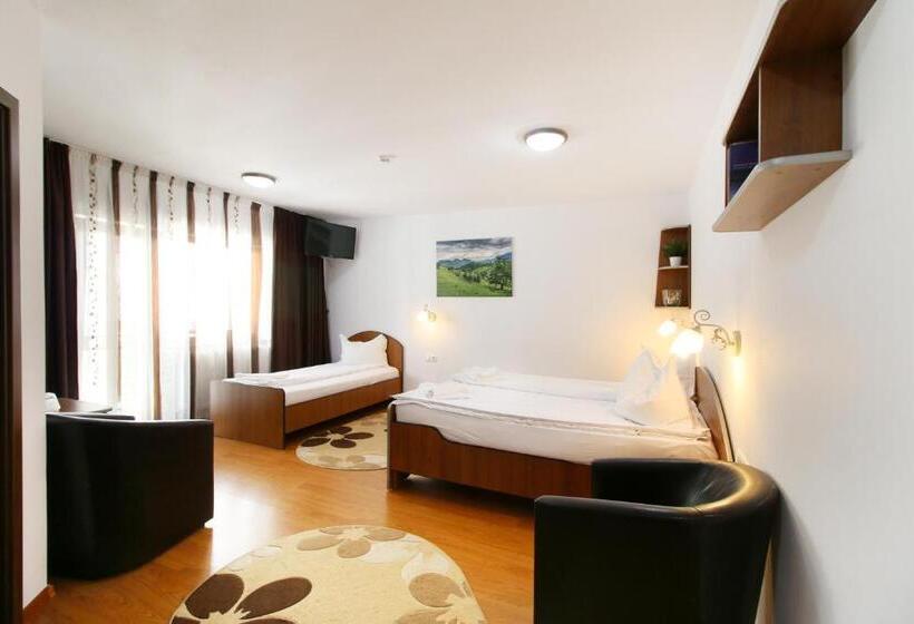 Pokój Trzyosobowy Standard z Balkonem, Casa Micu