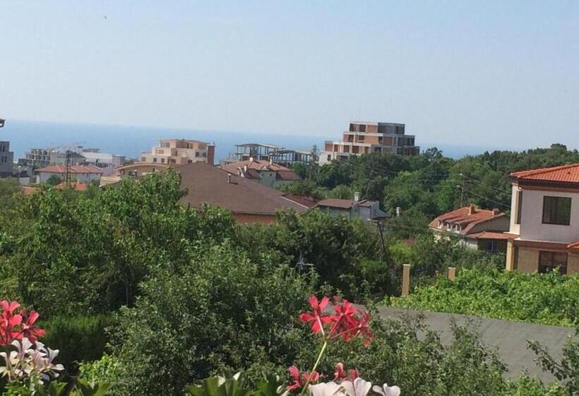 Pokój Standard z Balkonem, Guest House Kiwi