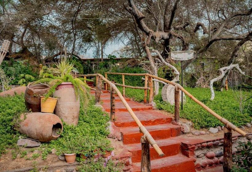 غرفة قياسية, Rochabus