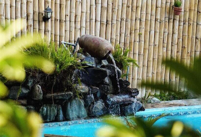 غرفة قياسية, Rochabus