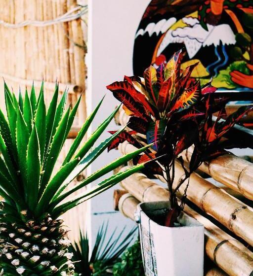 غرفة قياسية, Rochabus