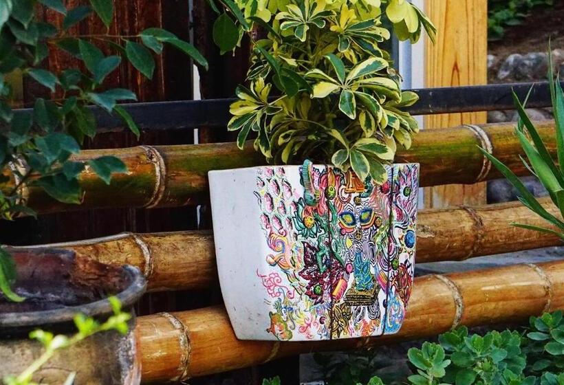 غرفة قياسية, Rochabus