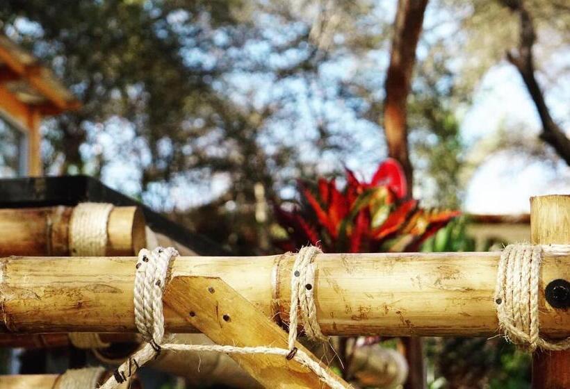 غرفة قياسية, Rochabus