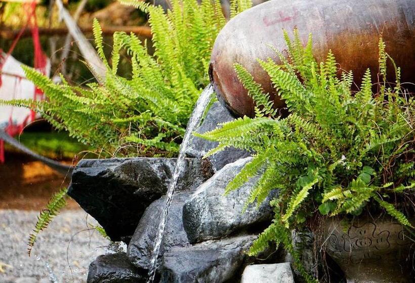 غرفة قياسية, Rochabus