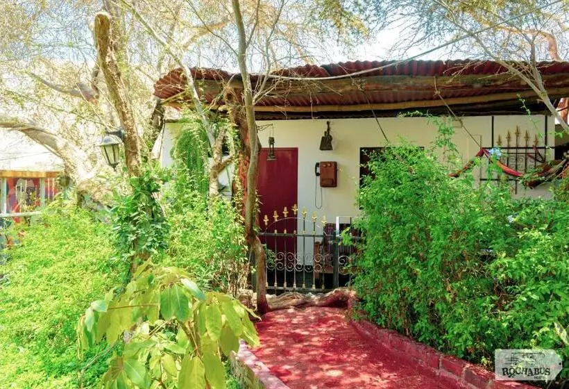 ویلای استاندارد با چشمانداز باغ, Rochabus