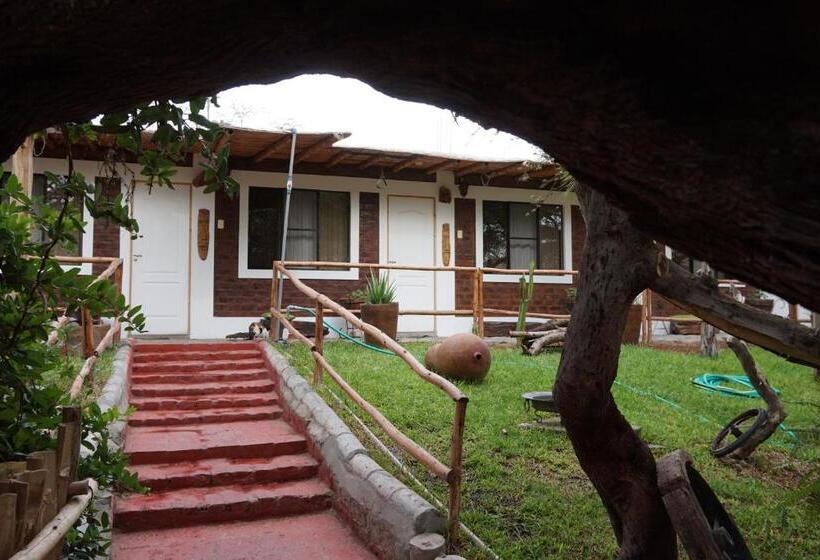 بنجلو قياسى مطلّ علي الحديقة, Rochabus