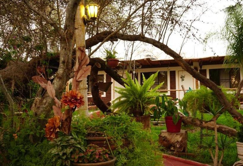 بنجلو قياسى مطلّ علي الحديقة, Rochabus