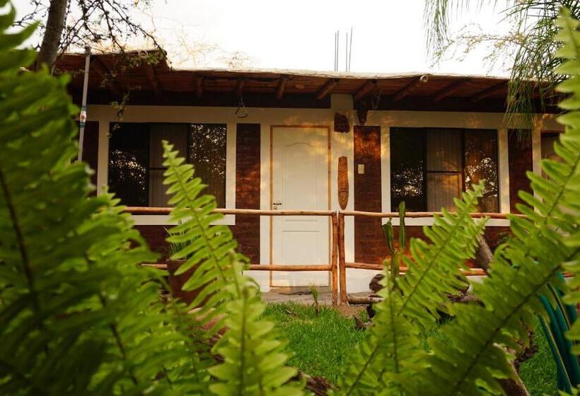 بنجلو قياسى مطلّ علي الحديقة, Rochabus