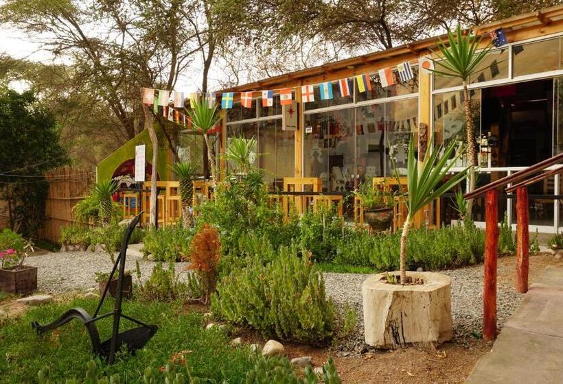 بنجلو قياسى مطلّ علي الحديقة, Rochabus