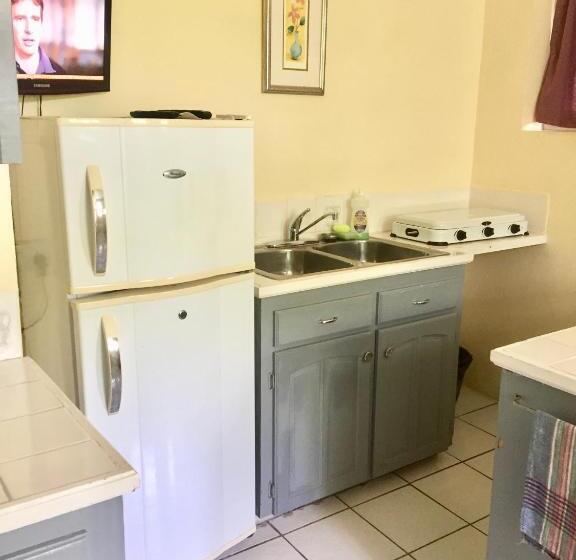 آپارتمان 1 خوابه, Harbour Vista Inn