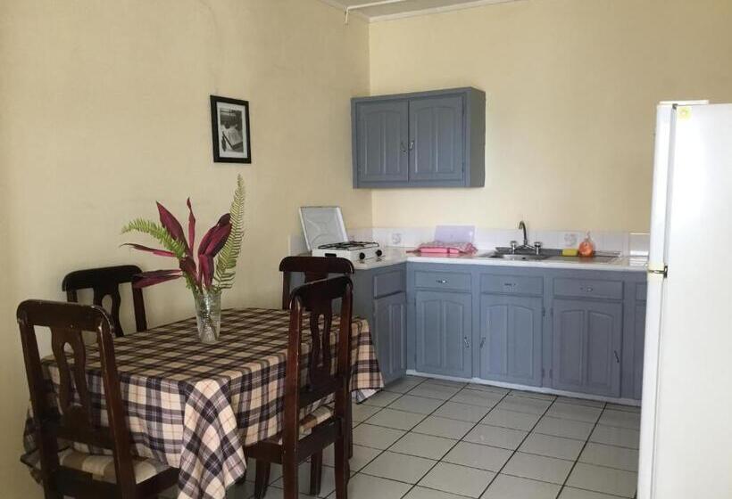 اتاق استاندارد با سرویس بهداشتی مشترک, Harbour Vista Inn