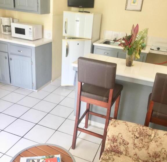 آپارتمان 1 خوابه, Harbour Vista Inn