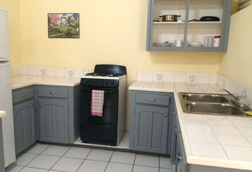 آپارتمان 2 خوابه, Harbour Vista Inn