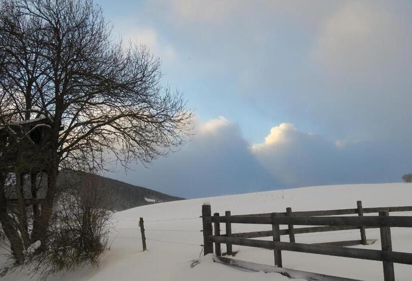 带阳台两卧公寓, Gappmayrhof