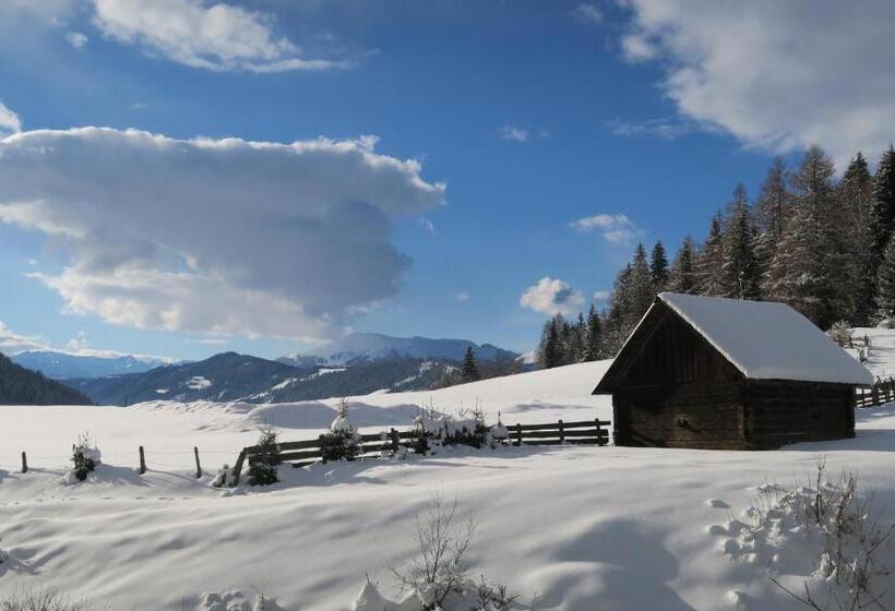 带阳台两卧公寓, Gappmayrhof