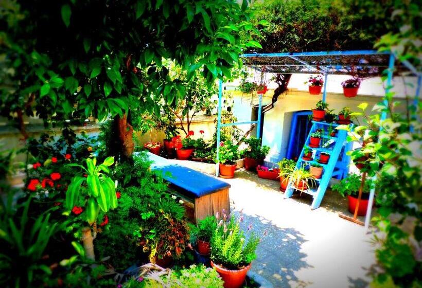 اتاق خانوادگی, Blanca Rosa Valparaiso B&b