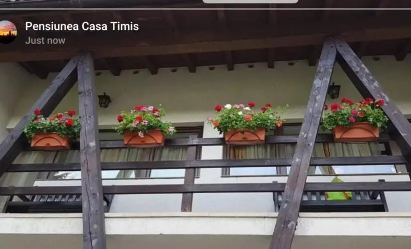 Duplex Junior Suite, Timis Valley, Casa Eni&dan
