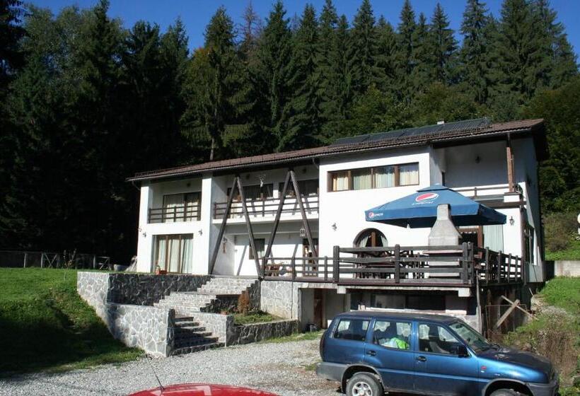 וילה בת חדר שינה 1, Timis Valley, Casa Eni&dan