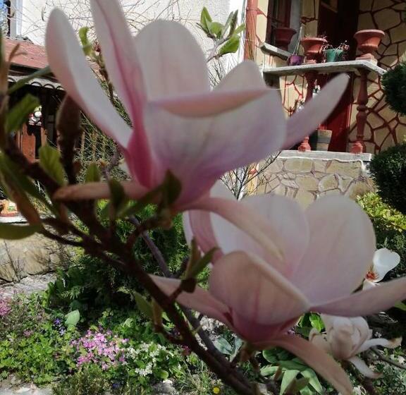 带阳台的三人标准间, Veselata Guest House