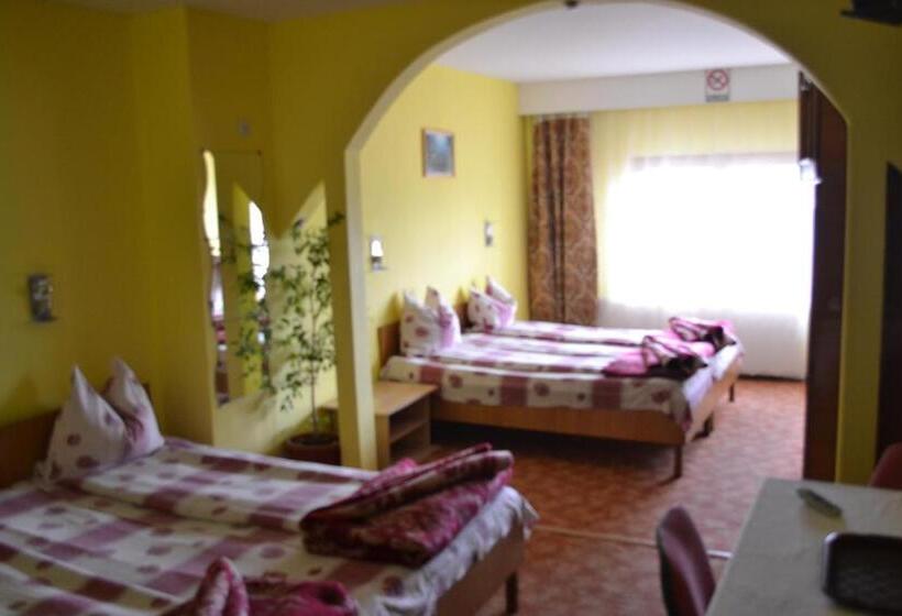 غرفة قياسية, Pensiune Turistica Milcov Vladet