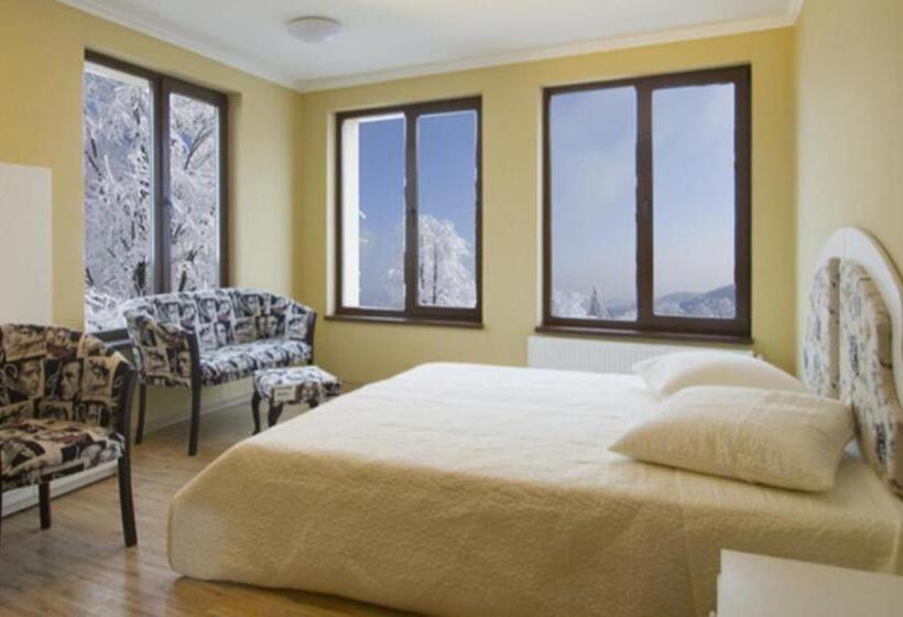 スタンダードルーム, Pensiunea Un Baiat Si O Fata