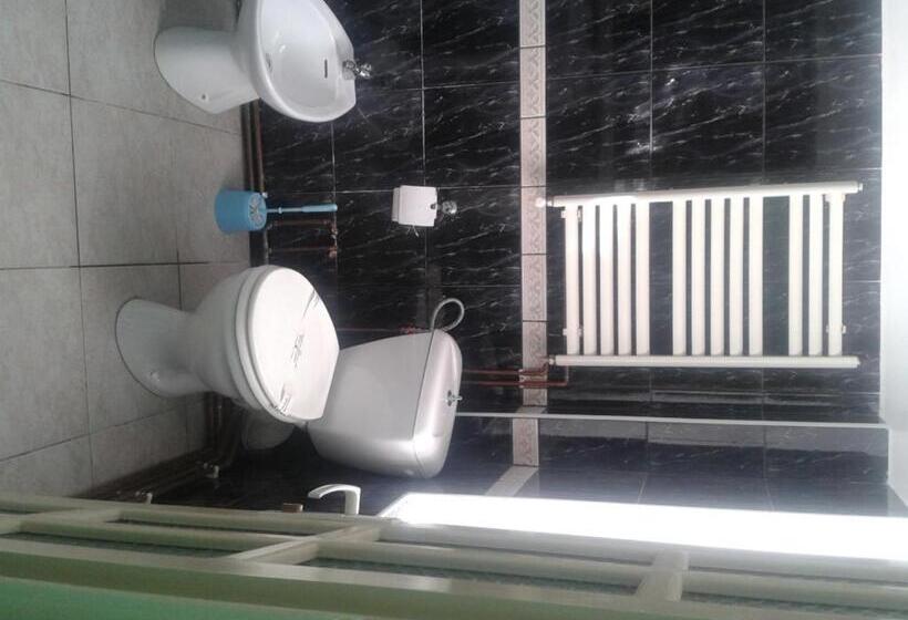 اتاق استاندارد, Pensiunea Vila Dana