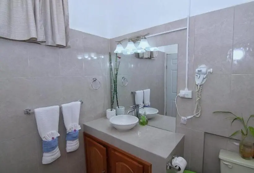 اتاق لوکس, Rainforest Haven Inn