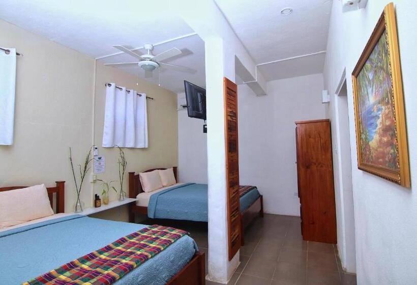 اتاق لوکس, Rainforest Haven Inn