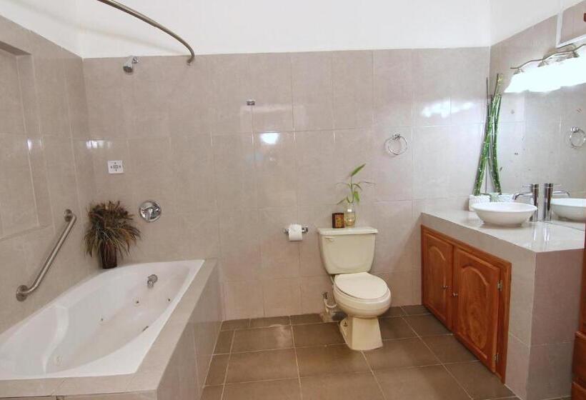 اتاق لوکس, Rainforest Haven Inn