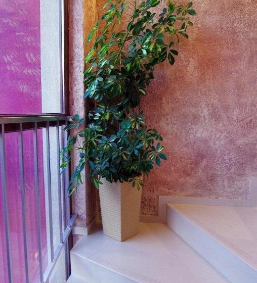 패밀리 룸, Cabana Beach Club Complex