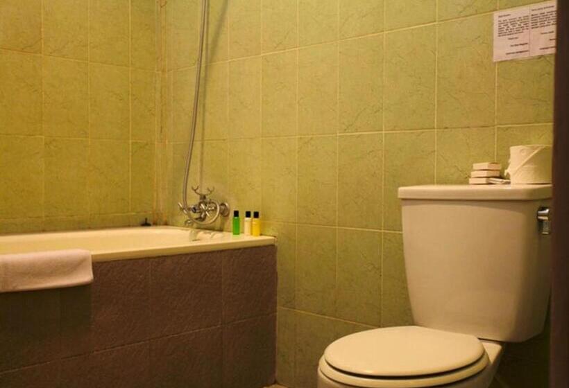 １ベッドルームアパートメント, Niramaya Villa