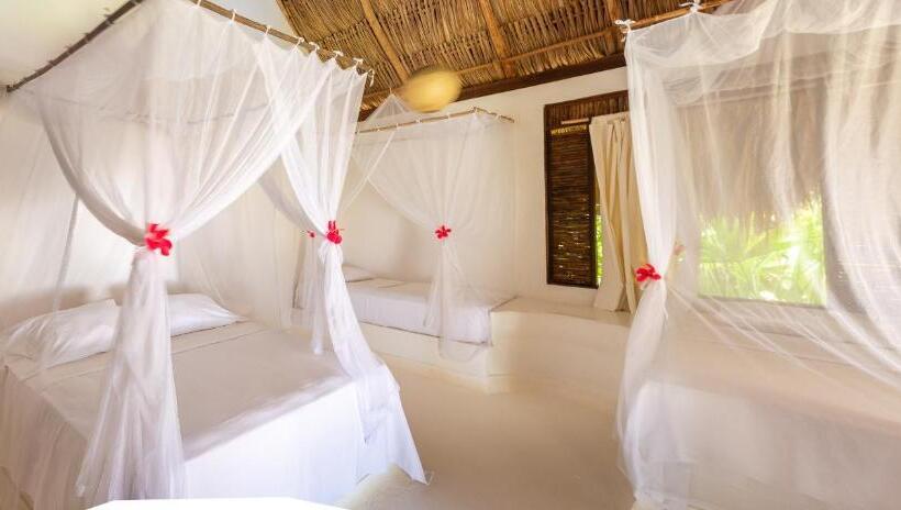 标准平房, Casalina