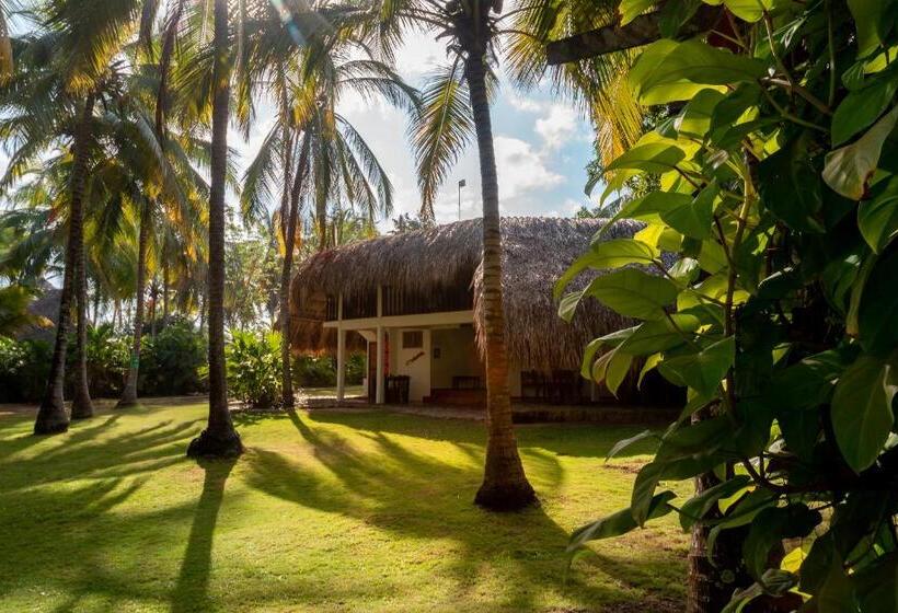 高级大房间, Casalina