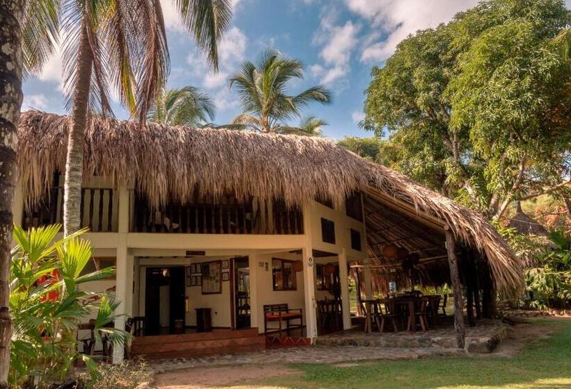 高级大房间, Casalina