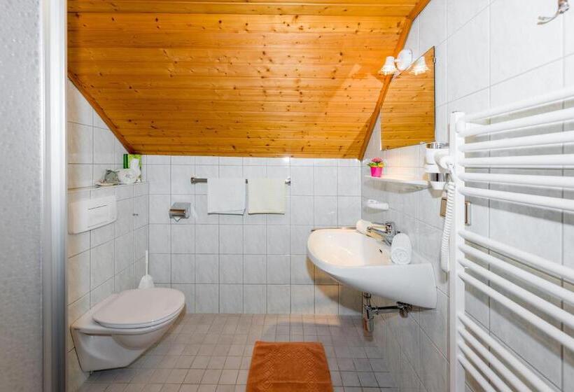 Номер Стандарт, Linharterhof
