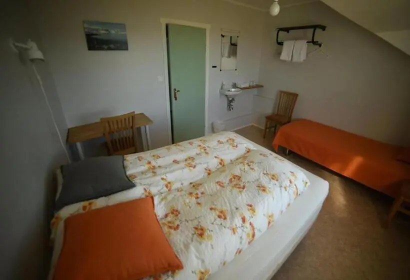 اتاق استاندارد با سرویس بهداشتی مشترک, Sudur Bár Guesthouse