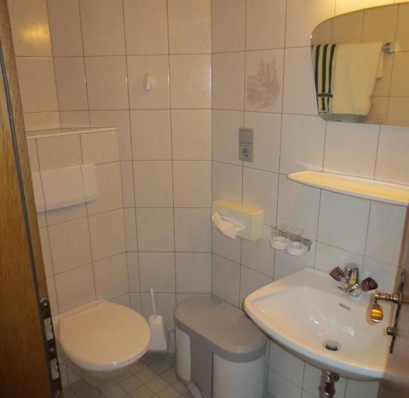 Номер Стандарт Индивидуальный, Alpenhäusl