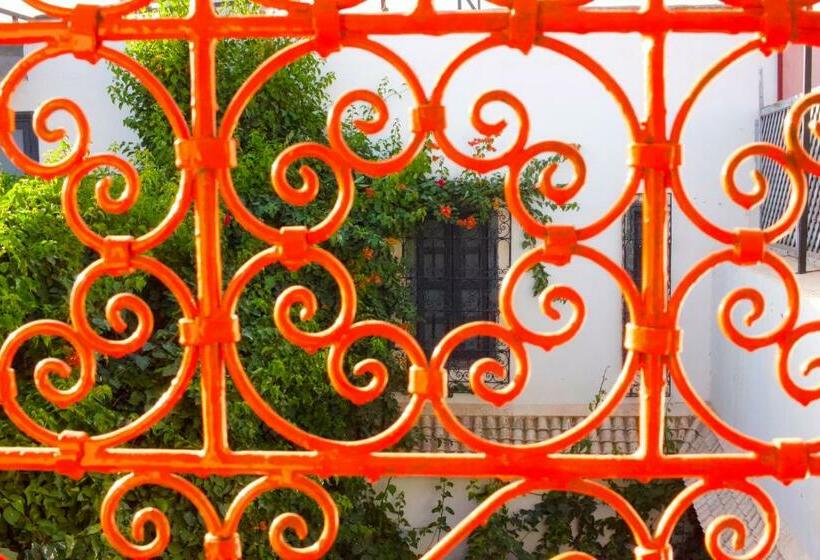 Superior Room, Riad Nafora