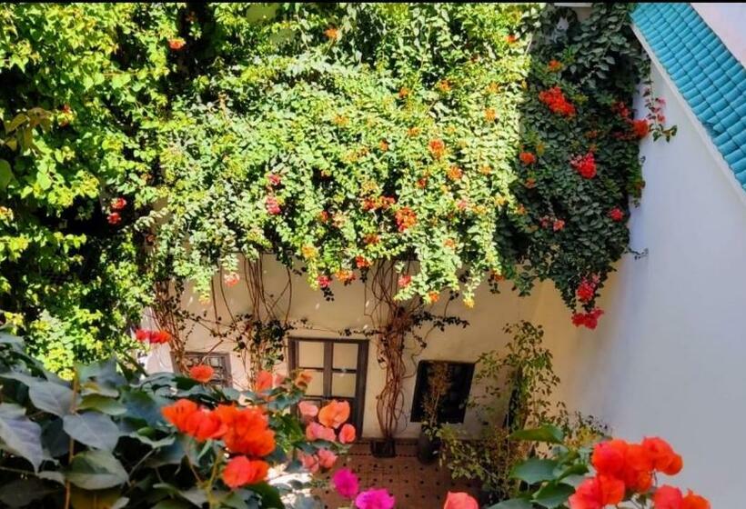 Superior Suite, Riad Nafora