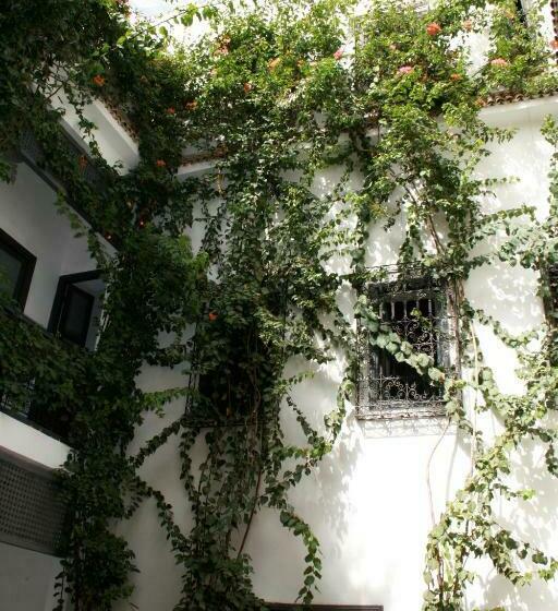 Superior Room, Riad Nafora