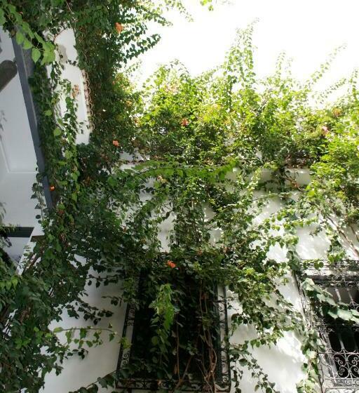 Superior Suite, Riad Nafora